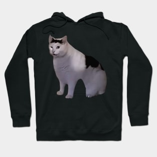 Huh Cat Meme Hoodie